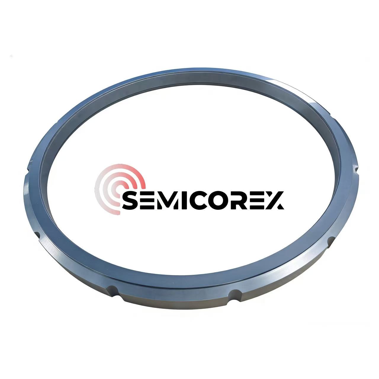 Δακτύλιοι καρβιδίου πυριτίου DGS